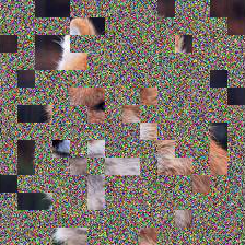 Interpolate start reference image.